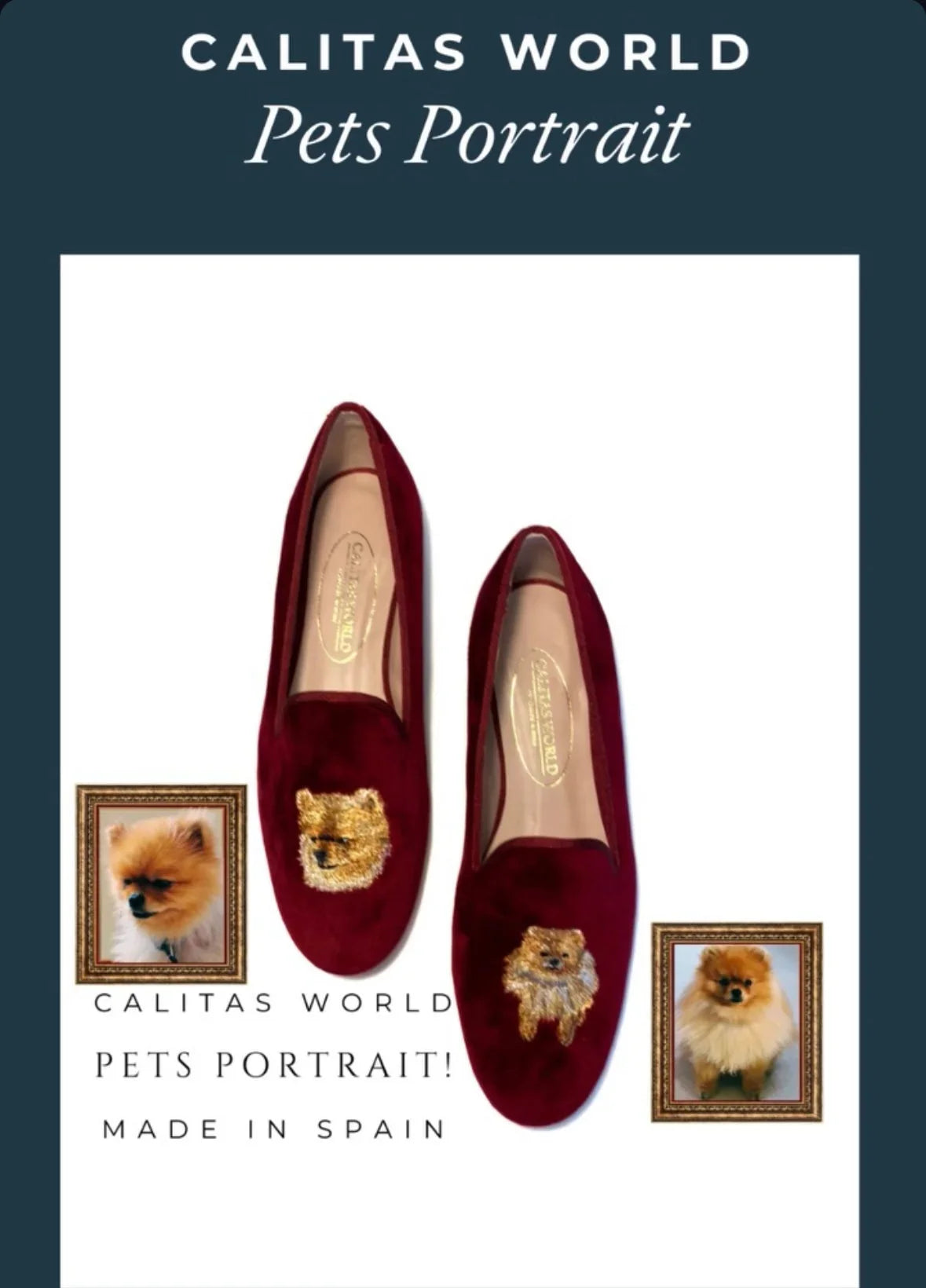 Calitas world shoes 愛犬愛猫 刺繍 パーソナライズ 受注販売 - aLORS online store