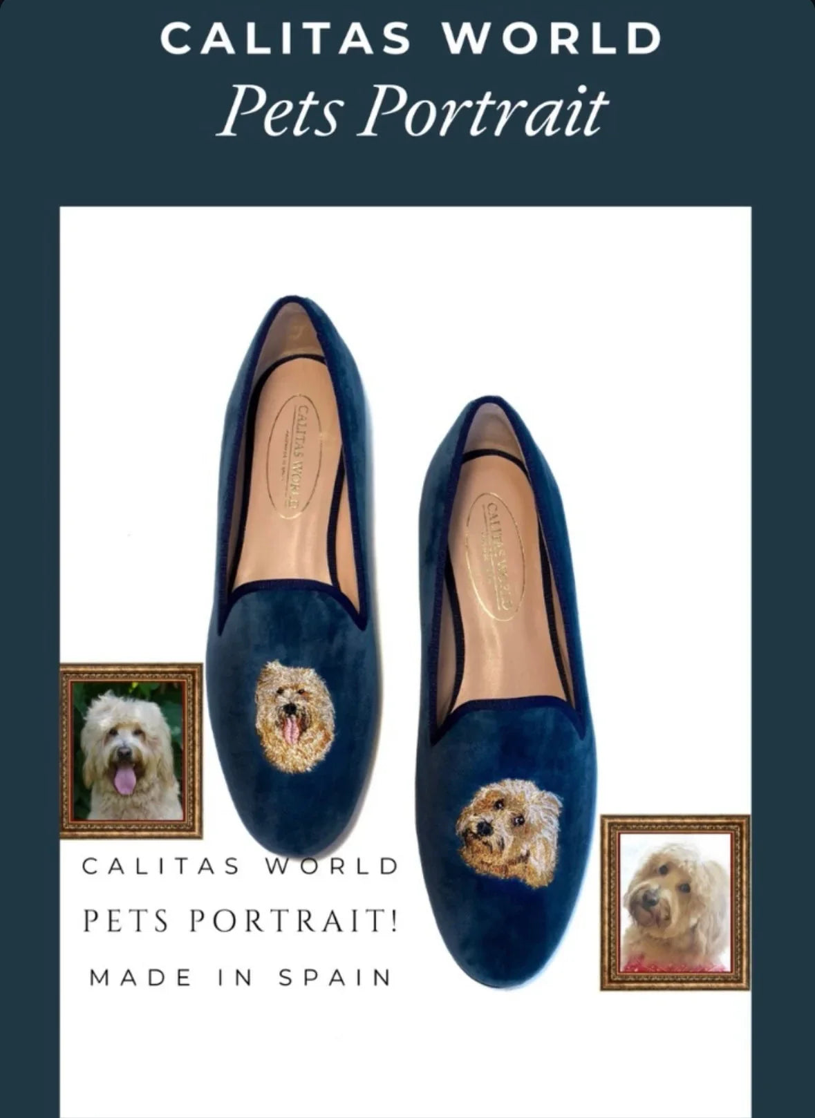 Calitas world shoes 愛犬愛猫 刺繍 パーソナライズ 受注販売 - aLORS online store