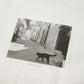 T-shirt à manches courtes【Une vie de chat】発送：4月下旬から5月上旬