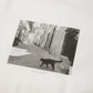 T-shirt à manches courtes【Une vie de chat】
