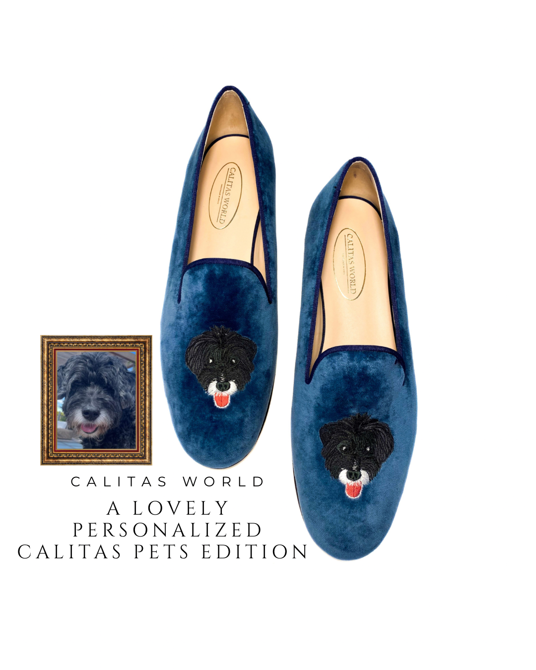 Calitas world shoes 愛犬愛猫　刺繍 パーソナライズ 受注販売