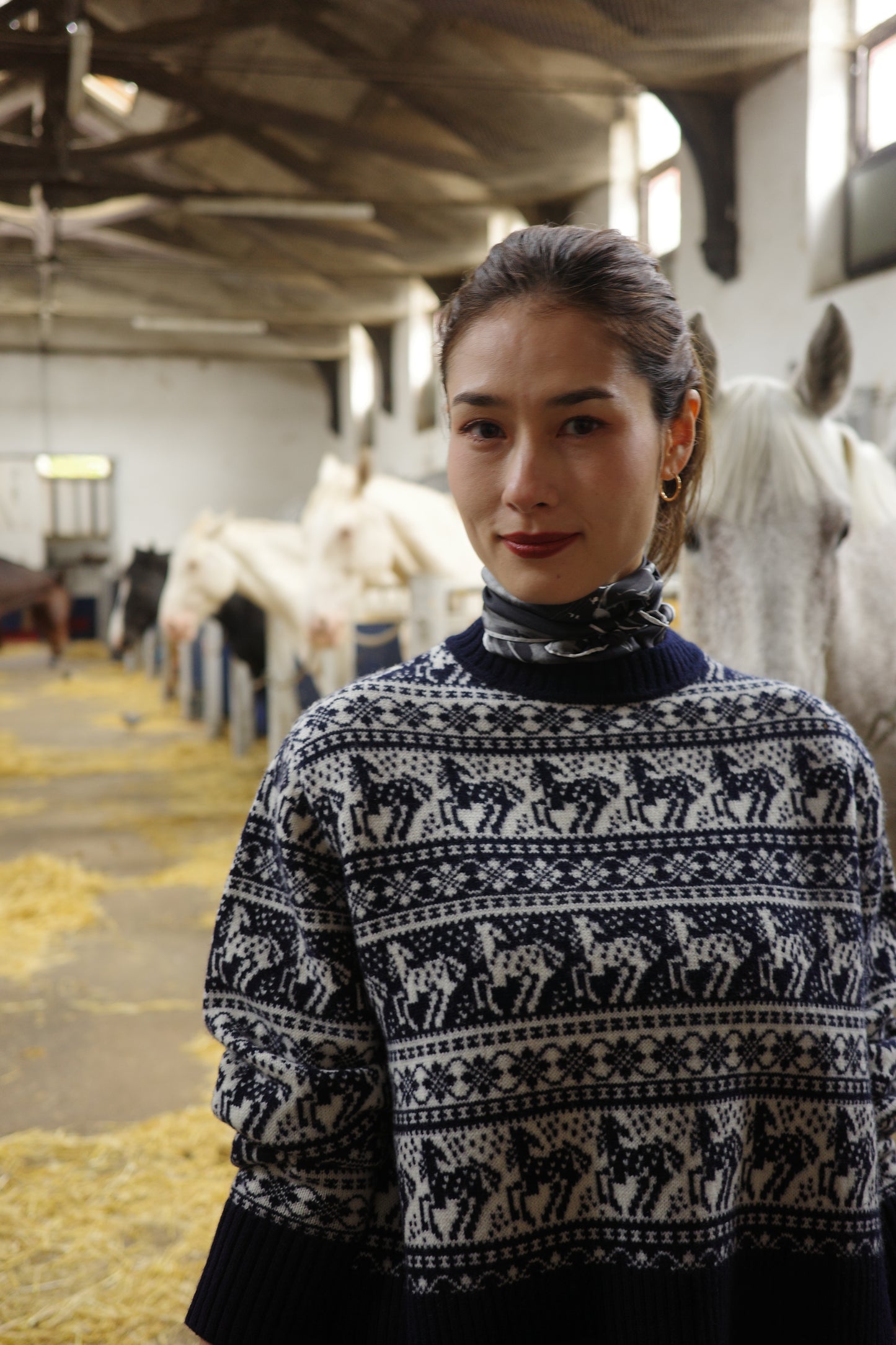 Pull jacquard équestre Rohan